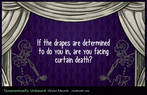 If the drapes are determined to do you in, are you facing curtain death?