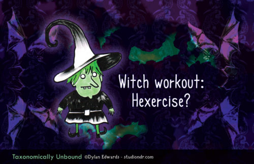 Taxonomically Unbound - Witch workout: Hexercise?
