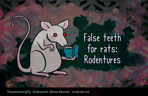 Taxonomically Unbound - False teeth for rats: Rodentures