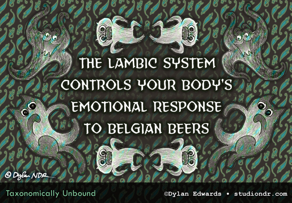 The lambic system controls your body's emotional response to Belgian beers